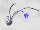 Entrare nello spirito della Mindfulness