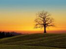 Corso Mindfulness-Based Stress Reduction a Vigonovo (VE) ottobre 2025