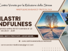 Incontri online: i 7 pilastri della Mindfulness