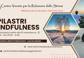 Incontri online: i 7 pilastri della Mindfulness
